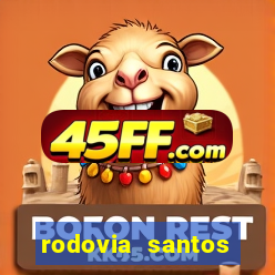 rodovia santos dumont br-116
